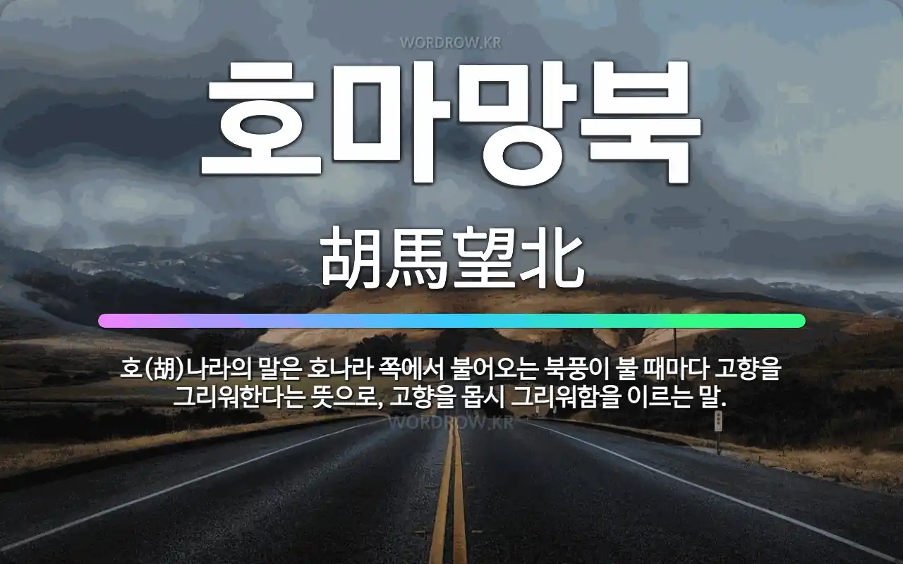 dac9b66a-3141-4669-acfe-2e5a6e968404.webp