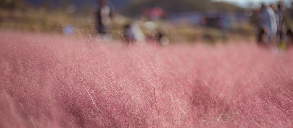 de076a89-a427-483f-b7bc-056a9a2336b1.jpg