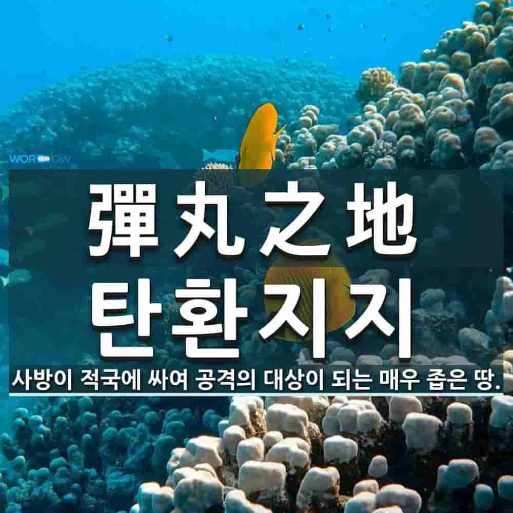 e1b40a38-bc59-44f0-8b95-5c8263139b30.jpg