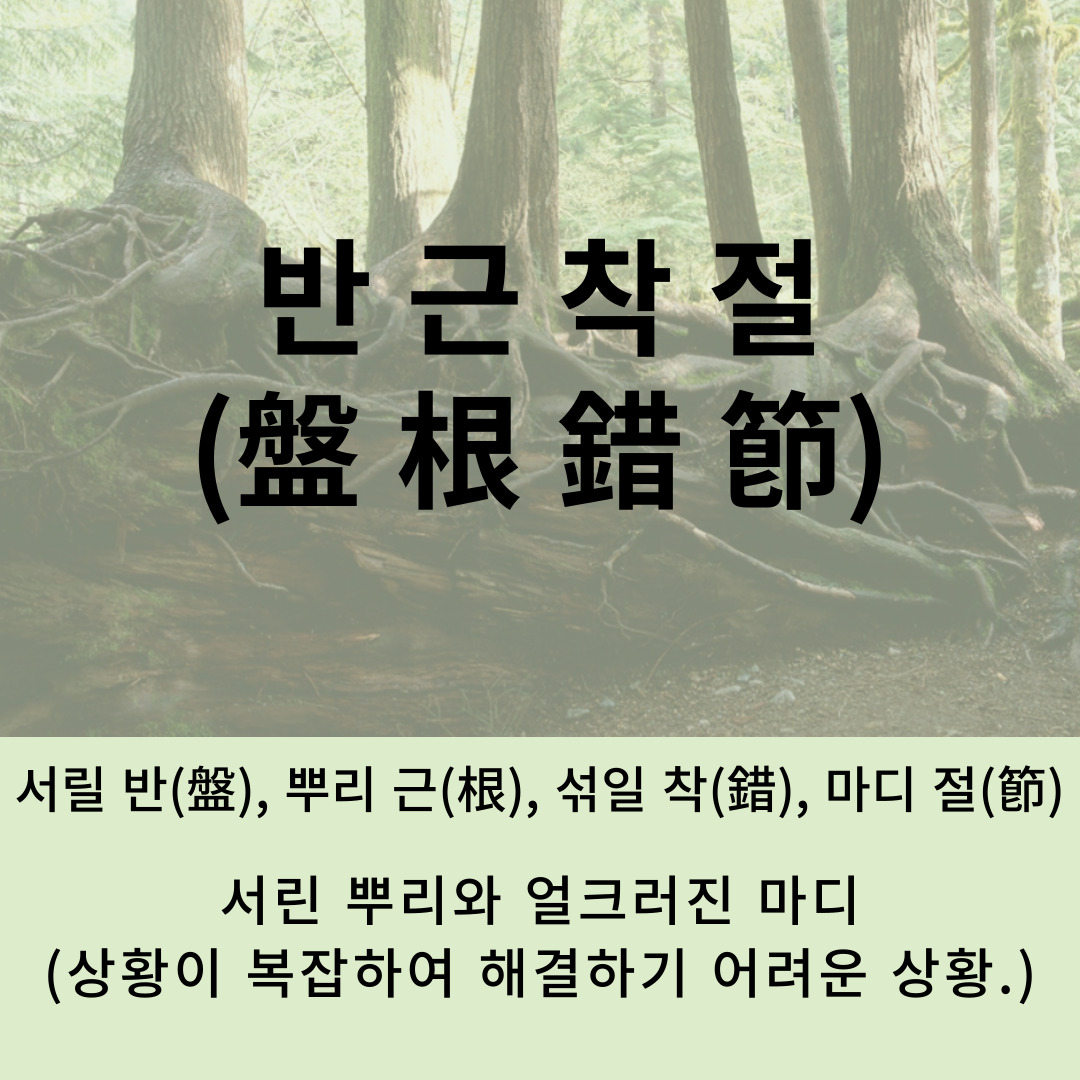 e9343675-ad62-4f1d-85a6-13eb9b009dfe.jpg
