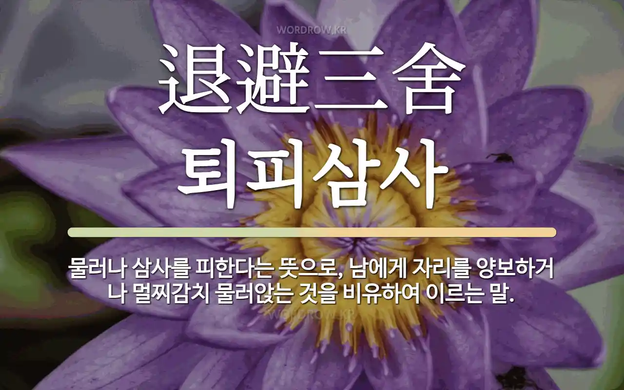 e9a90222-90c5-4d75-a018-ce7147eded59.webp