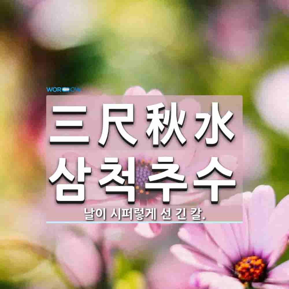 ef9c5bce-0888-4b1e-ba4c-64b000debcc4.jpg