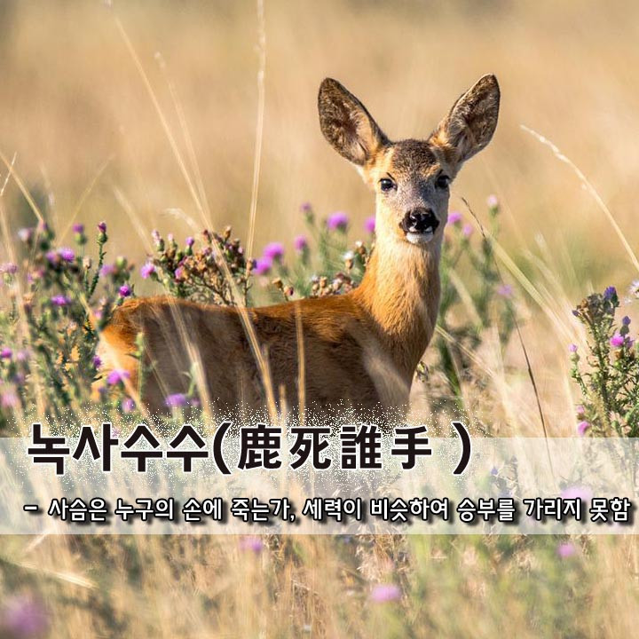 f3e2cd9b-3154-4489-9275-f3d2cb5d14dd.jpg