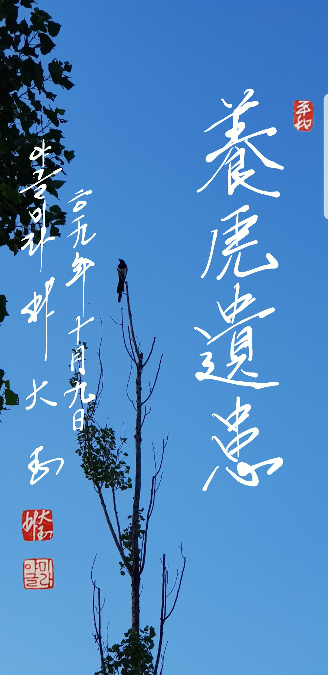 f9f96393-bceb-44ab-9cea-fb11dc903fdf.jpg