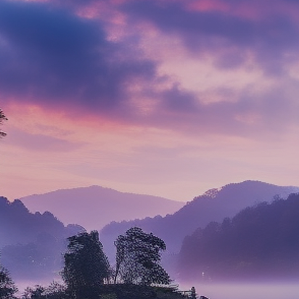 2de07c5f-295f-4c1d-a42f-8335b9e5834f.png