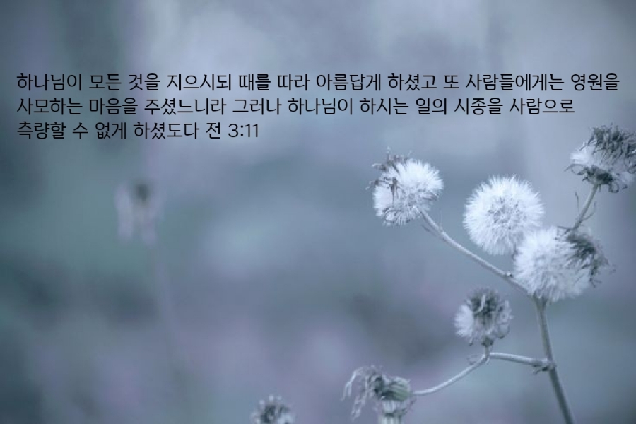 3a10378c-8c3a-4ea1-ad96-4bec36fa94aa.jpg