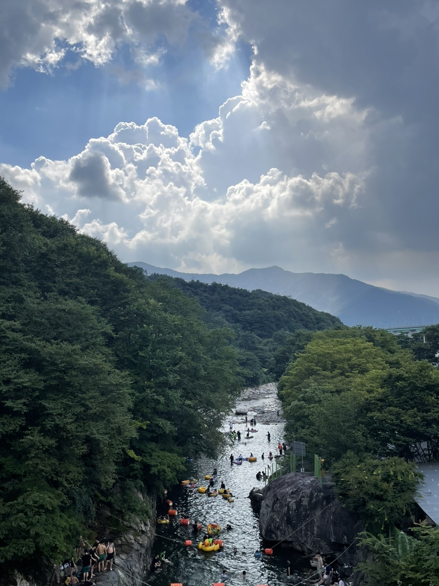 4177c292-65cf-407d-8ff6-a35ee9474c83.jpg