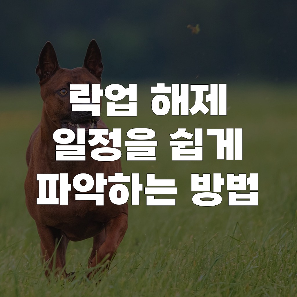58cc0276-8f14-4935-9ab1-28467021954f.jpg