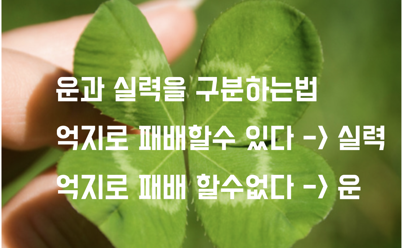 8c03c794-e20d-48b3-bc69-a36d73743d2a.png