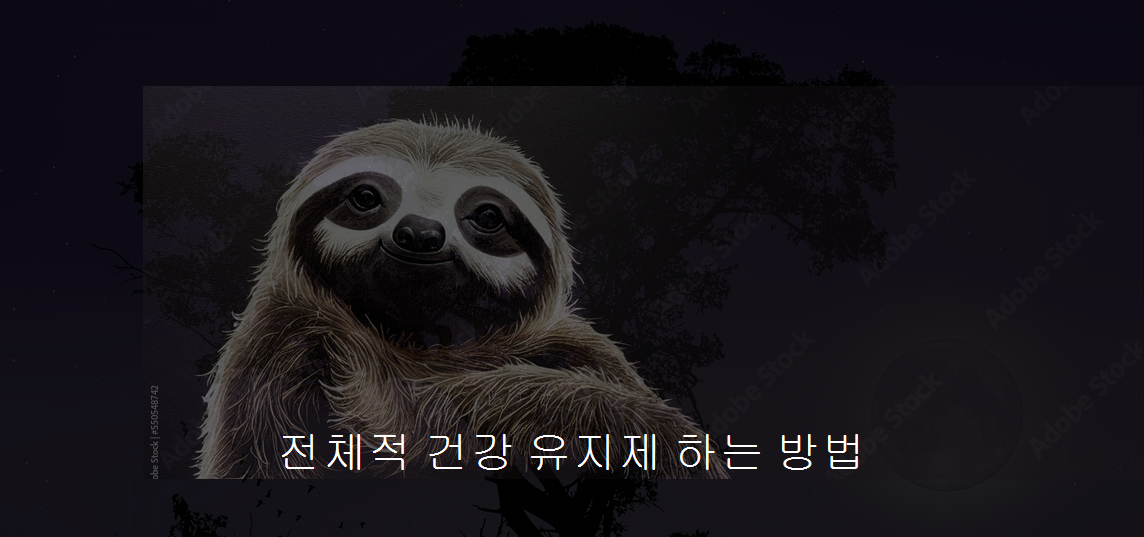 9b587ee0-6ab6-4e2e-8984-54f9d7ecb82f.png