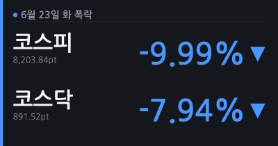 [6.23(화) 폭락] 코스피 -10% '검은 화요일', 8200선 붕괴