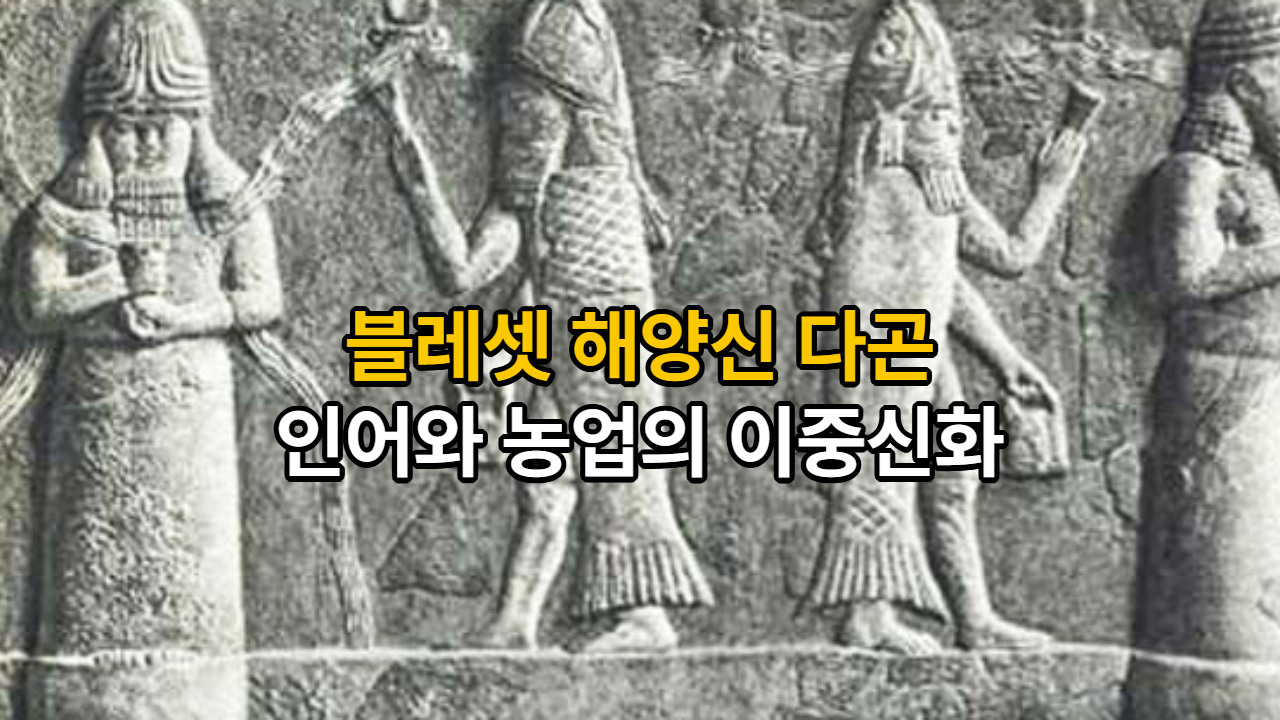 22895502-12da-46a5-aa78-254c45bc55d5.png