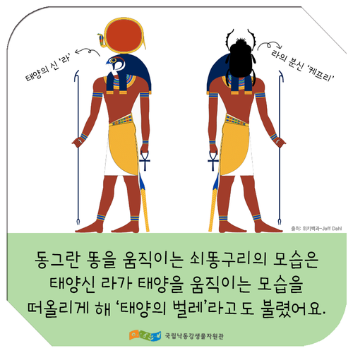 4e725e5d-474f-4551-935c-ebdbd7861064.png