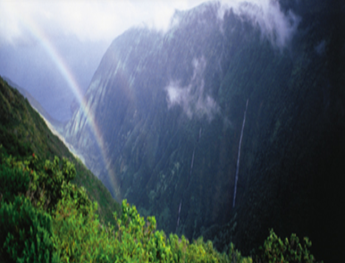 8201529a-4df4-4f83-bdaa-38ae4ab0e818.png