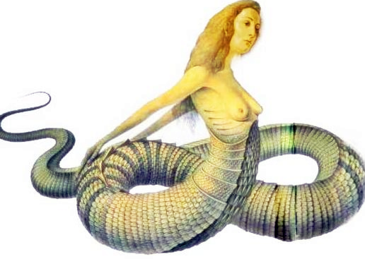 cbbb9073-4b99-44ef-a3d7-2844d3113f93.png