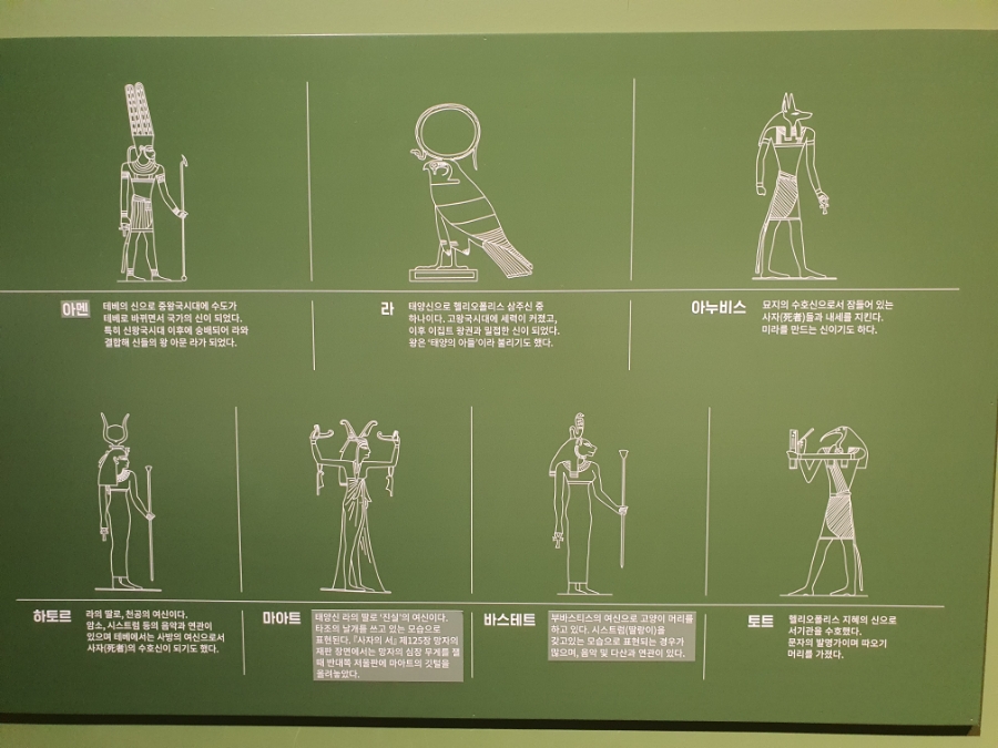 d9cc0f52-130d-4a67-a866-5be38e7d322f.jpg