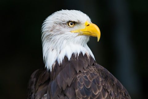 ea8aab98-4e49-491b-ab06-5392693226dd.jpg