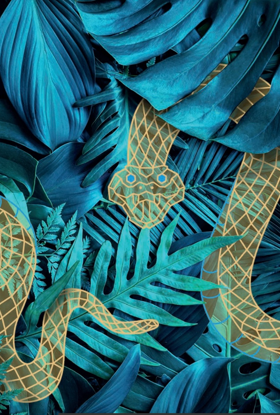 f4b262a4-4ede-49ec-8739-f1e52feef282.png